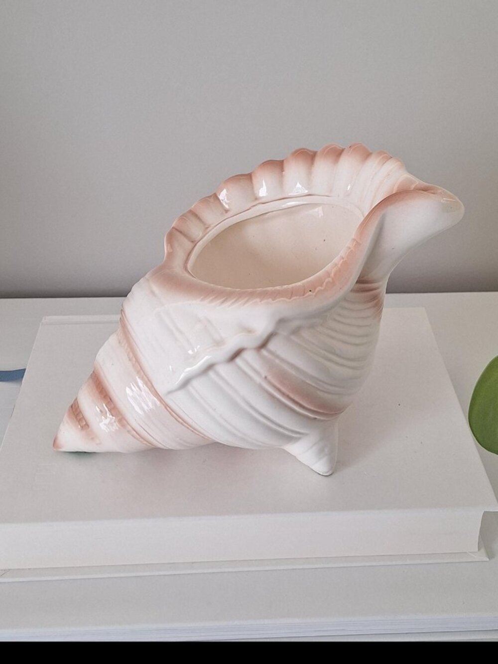 Vintage Conch Sea Shell Planter pot seashell Coastal Decor Nautical white Vase